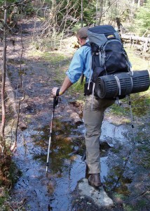 Trekking-poles-spring-hike4-V